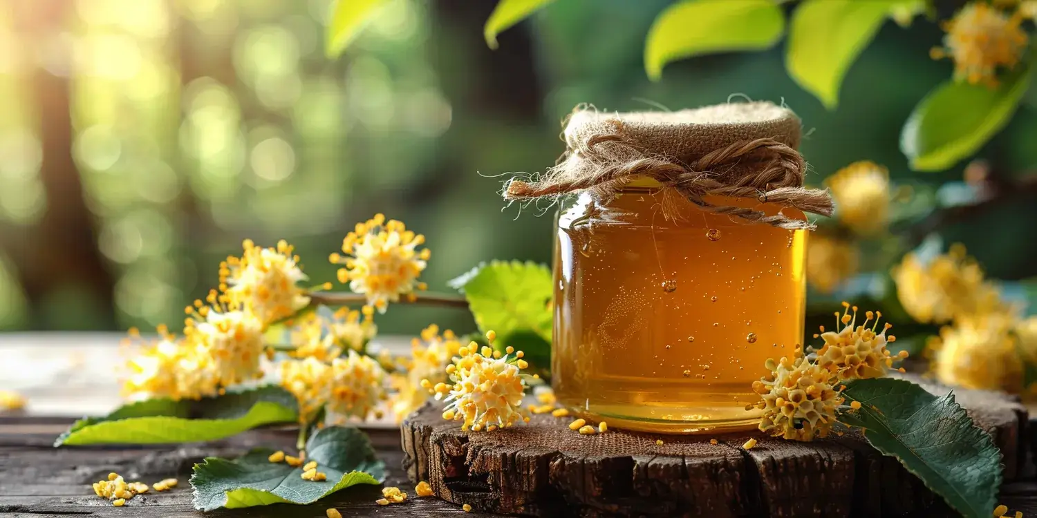 Miód faceliowy w kuchni